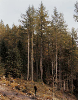 In A Norwegian Landscape 5