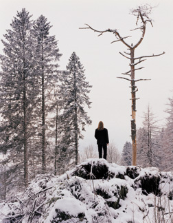 In A Norwegian Landscape 16