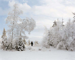 In A Norwegian Landscape 5