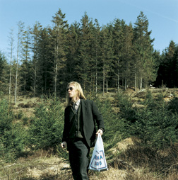 In A Norwegian Landscape 2